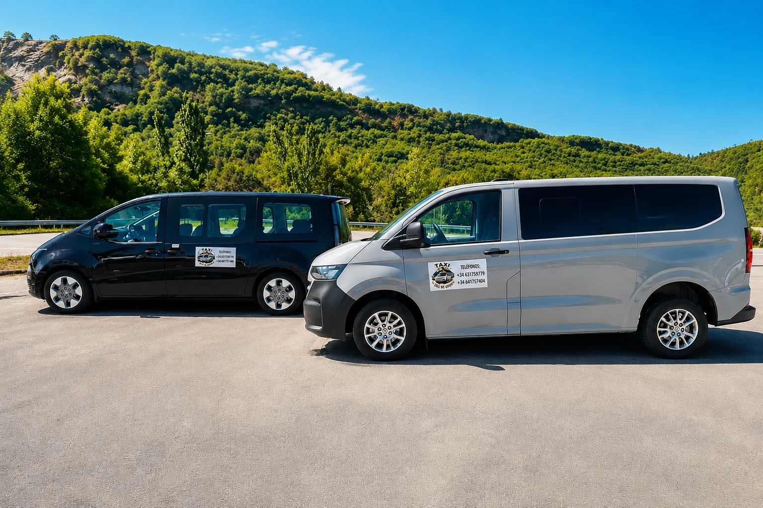Los taxis de Val d'Echo ante las montañas del Pirineo aragonés